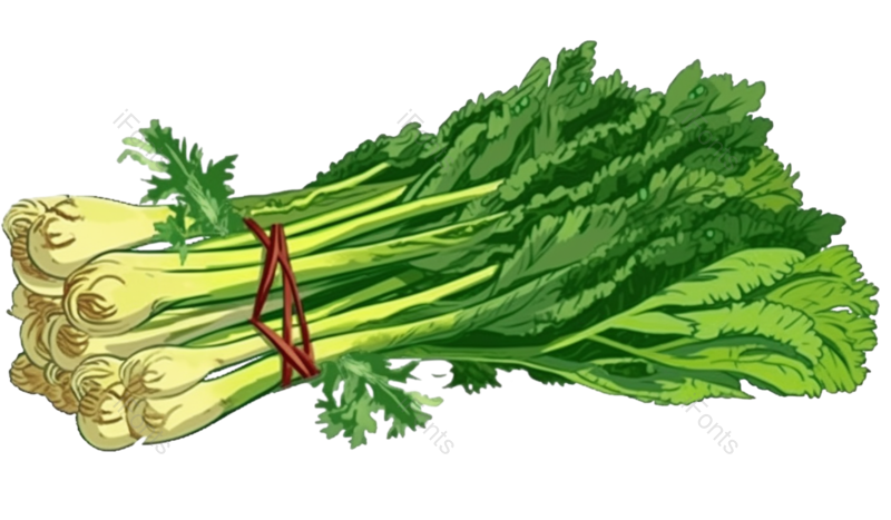 蔬菜图片,食材元素,绿色蔬菜PNG,免抠素材